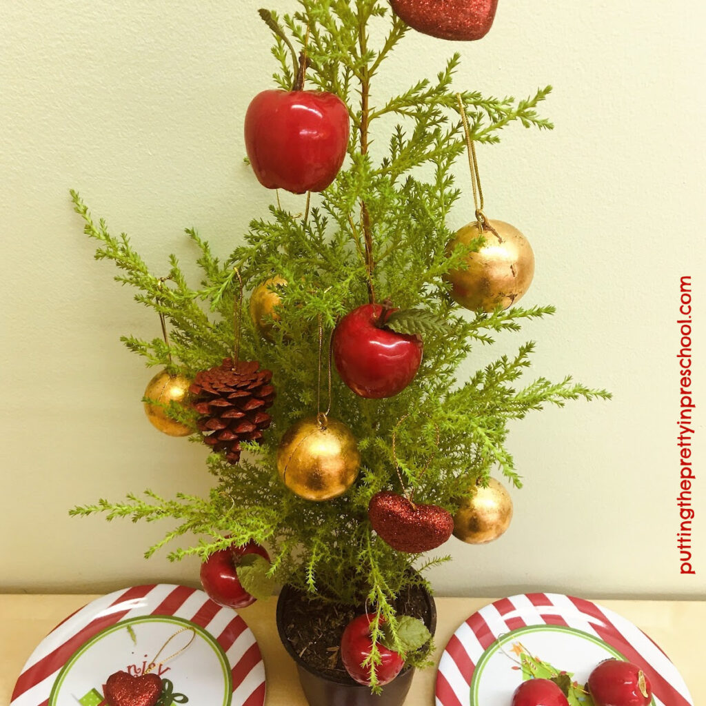 Decorate a potted lemon cypress tree with Christmas decorations.