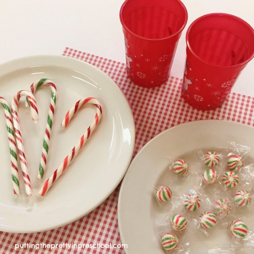 Gather just three supplies for an easy-to-perform candy cane or candy experiment with a WOW factor.