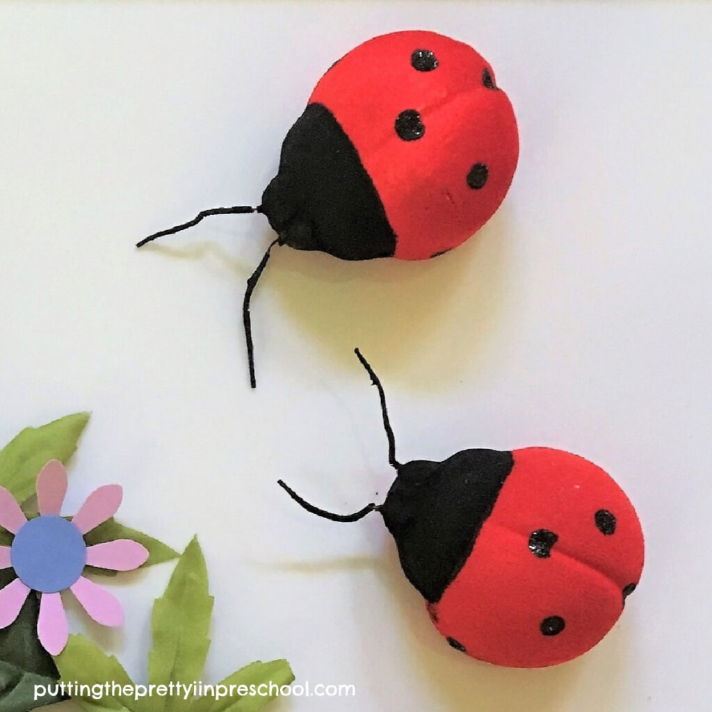 A host of ladybug facts to share with early learners.