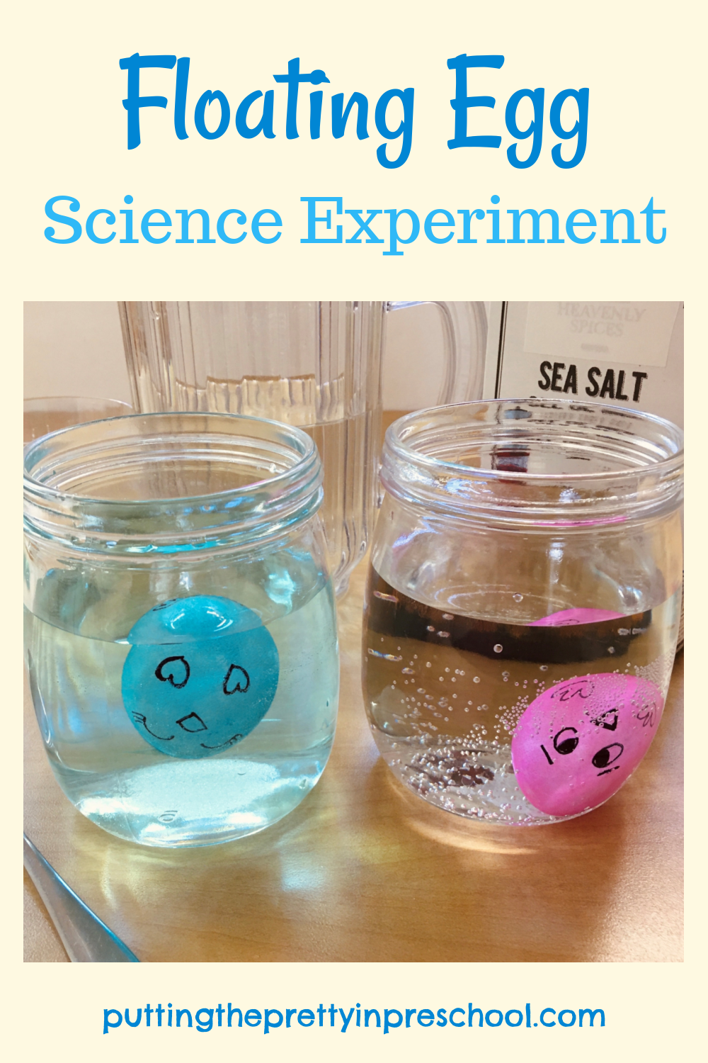 experiment egg floating in water