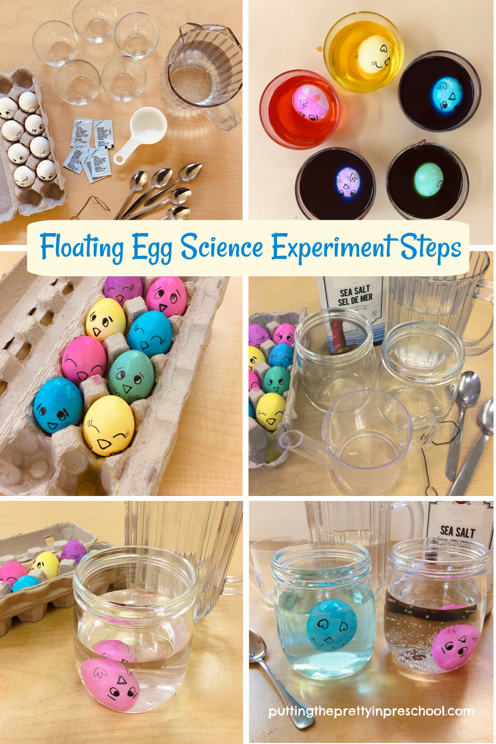 perform the task floating egg science experiment brainly