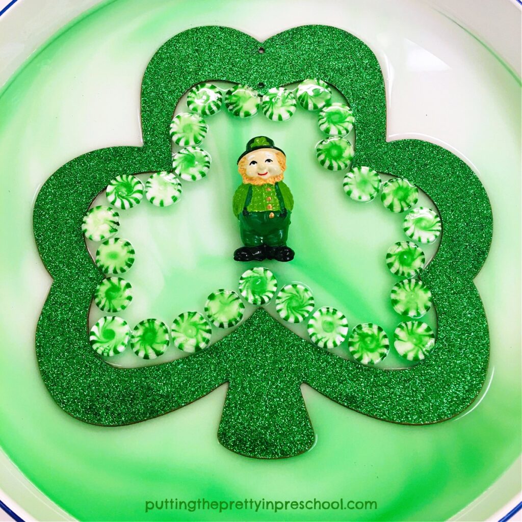 The leprechaun is the finishing touch to this stunning, easy-to-perform shamrock dissolving candy science experiment.