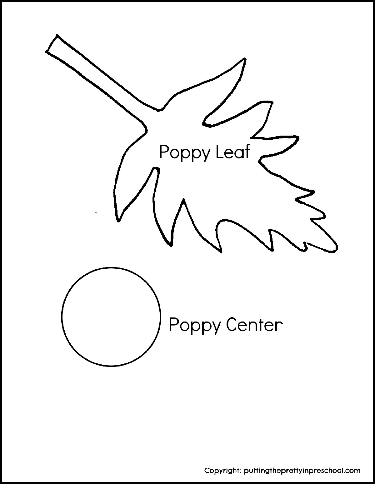 Coffee Filter Poppy Art