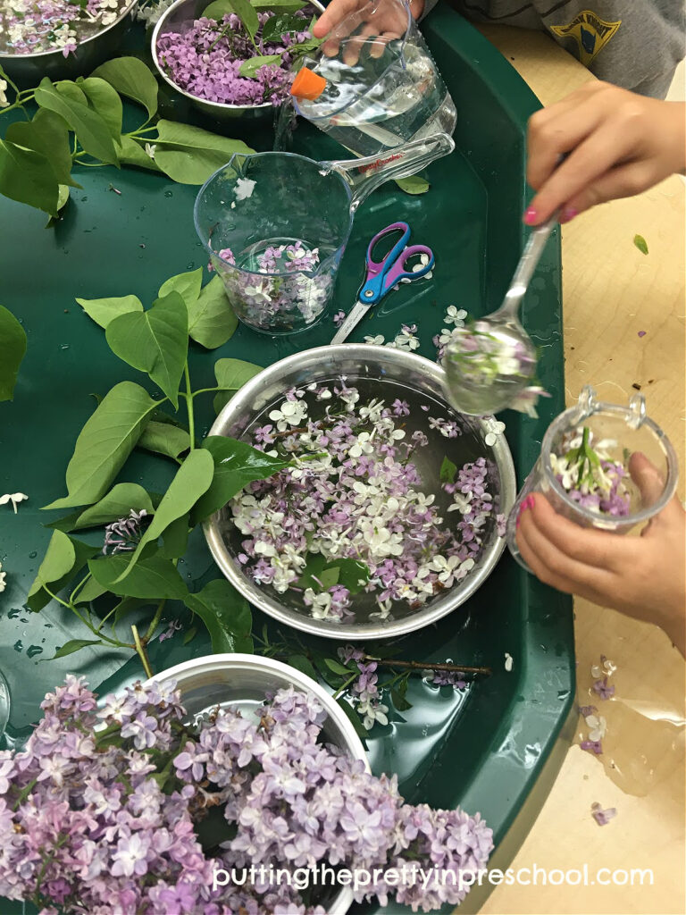 Oh-so-fun lilac flower sensory play in a tuff tray.