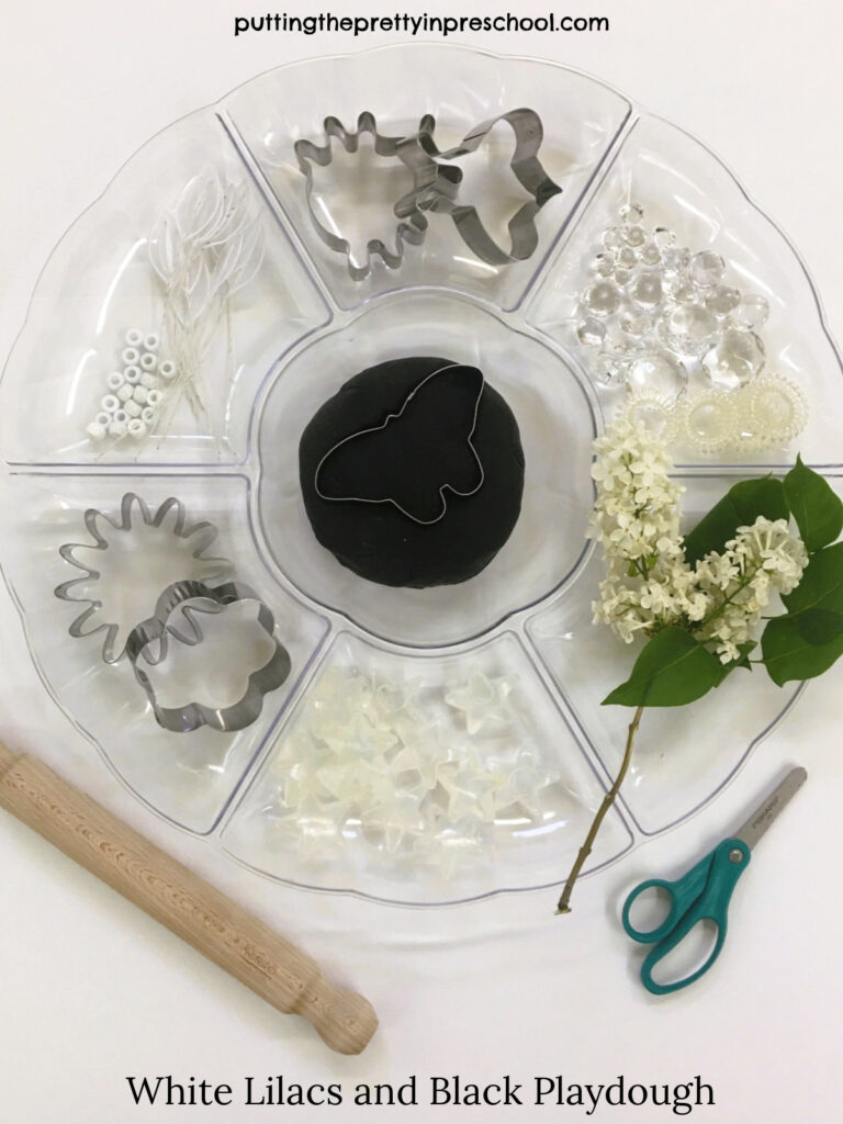 Set up this unexpected white lilac and black playdough tray. Striking creations will surely be the result.