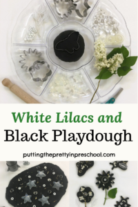 Try this unexpected combination of white lilacs and black playdough. It goes well with cookie cutters and white and transparent loose parts.