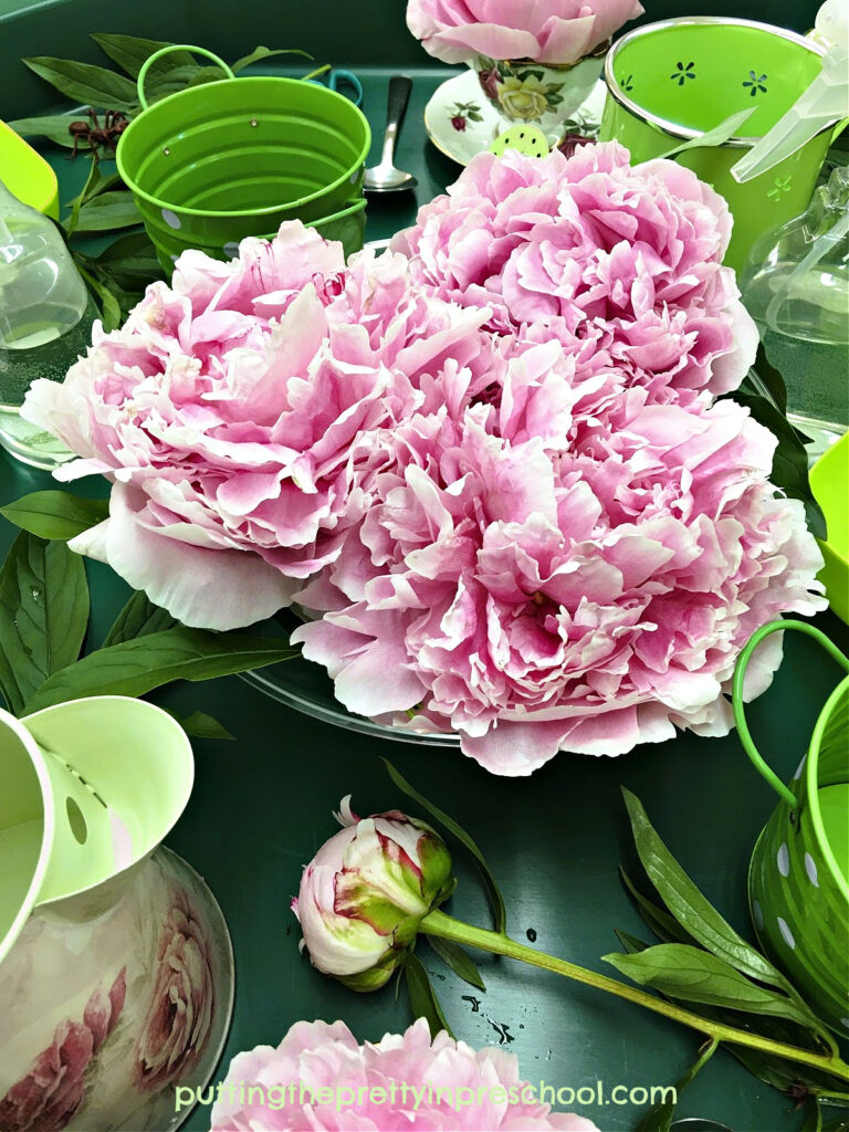 Three flowers on a cake stand make a stunning centerpiece in a peony and teacup sensory tray play invitation.