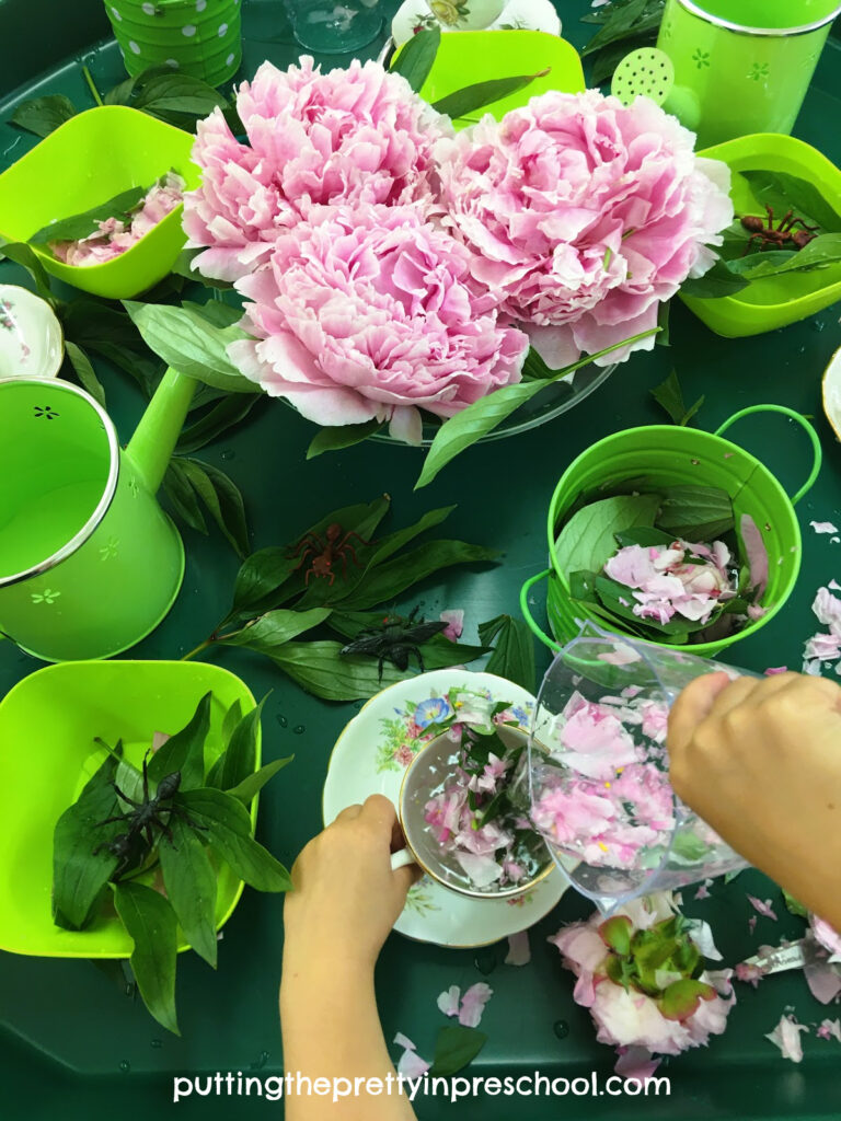 Set up this peony flower sensory play invitation your little learners will absolutely love in just minutes!