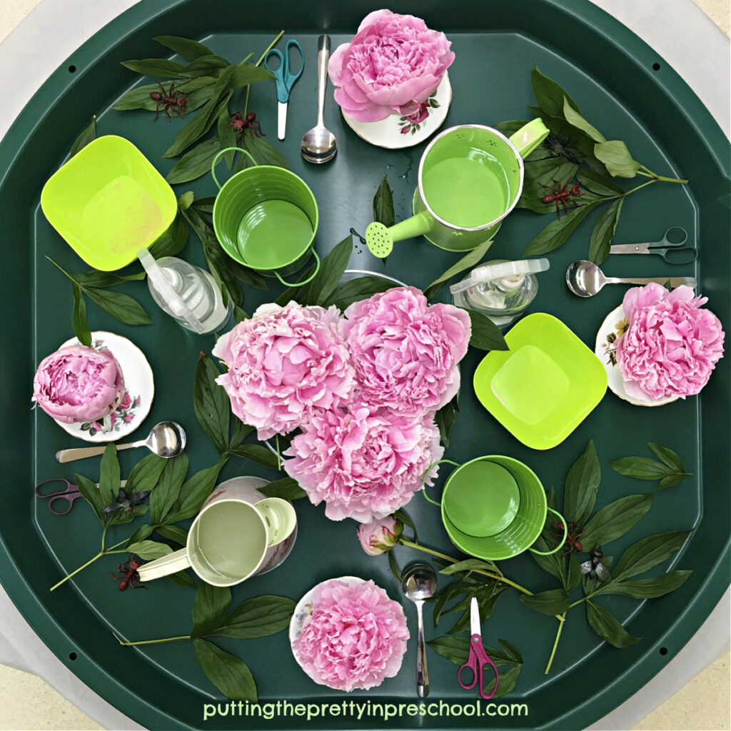 An easy-to-set-up flower-themed sensory tray that features show-stopping peony flowers.