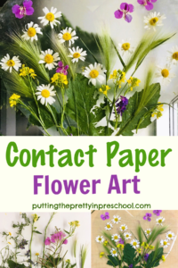 How to create oh-so-pretty contact paper flower art using flowers and foliage found in the wild. A beautiful, transient nature art project.