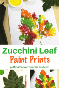 How to make large zucchini leaf paint prints in fall colors. This is an all-ages garden art activity everyone will enjoy giving a try.