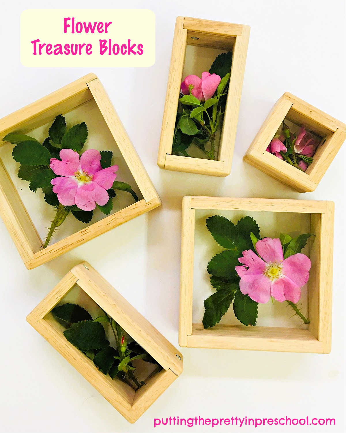 Flower Treasure Blocks