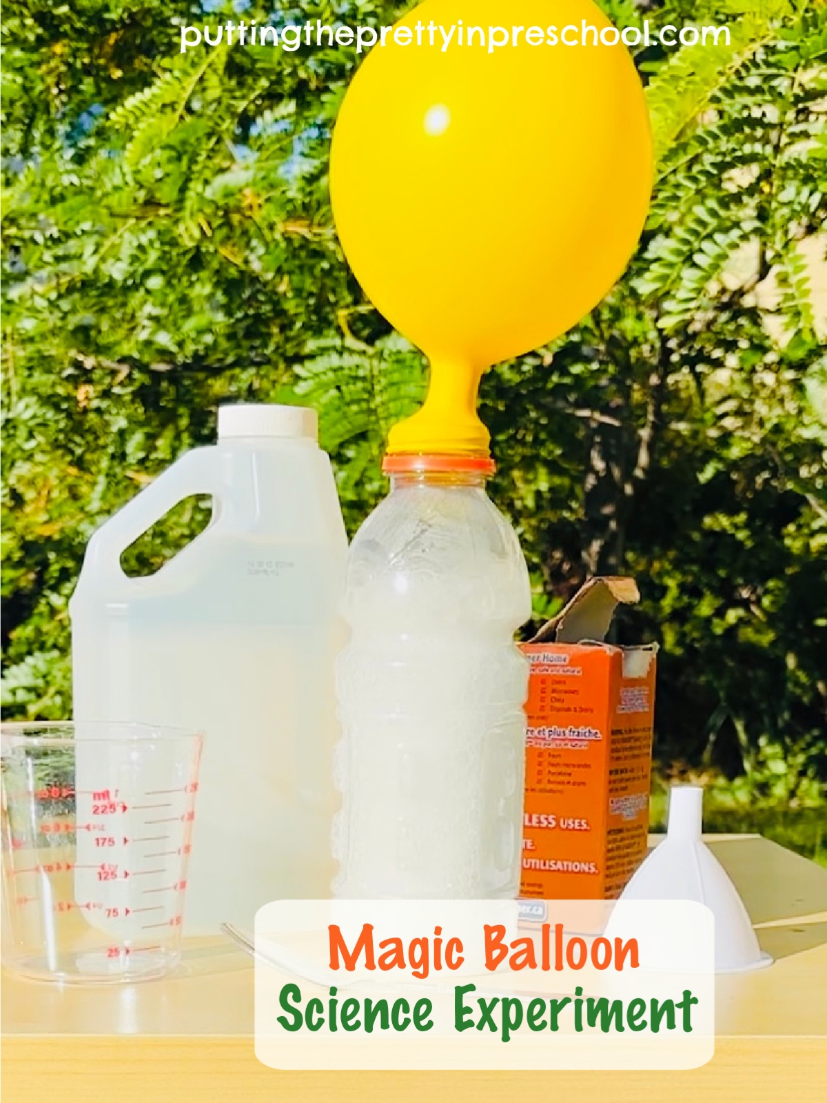Expanding Balloon Science Experiment